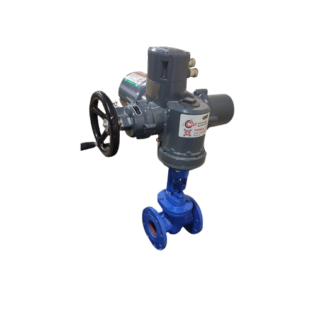 Motorised sluice valve with electrical actuator