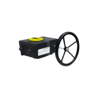 Spare worm gear box for electrical actuator