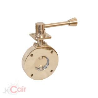 Pharma Butterfly Valve - Cair Euromatic Automation