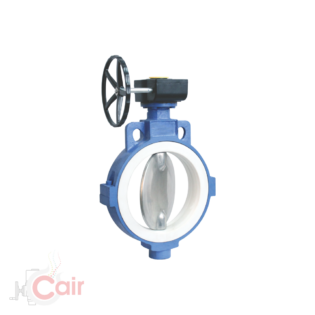 PTFE Sleeve Butterfly Valve Replaceable Muffler - Cair Euromatic Automation