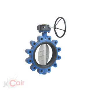 Rubber Lined Butterfly Valve Manufacturer in Ahmedabad, India