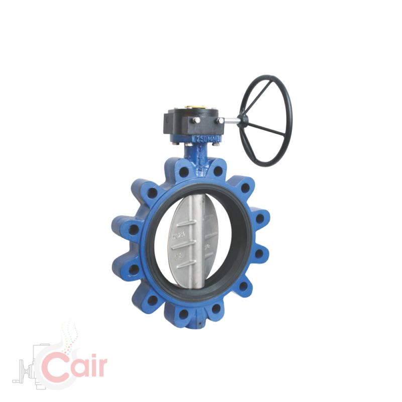 Rubber Lined Butterfly Valve Manufacturer in Ahmedabad, India